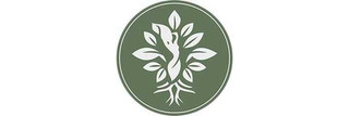 Rise Clinic (Райз Клиник)